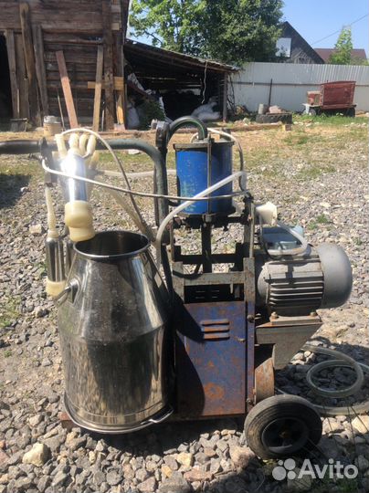Дойный аппарат бу