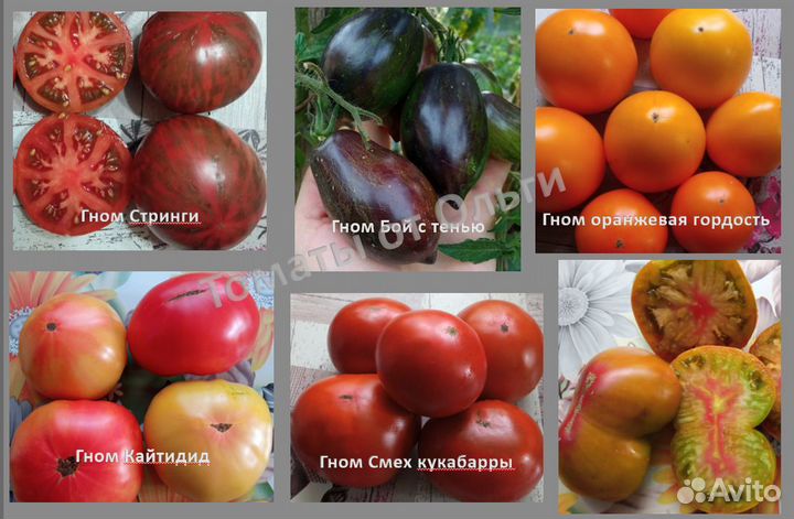 Семена коллекционных томатов