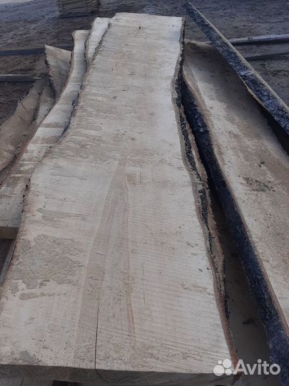 Доска необрезная из Березы (Лафет)