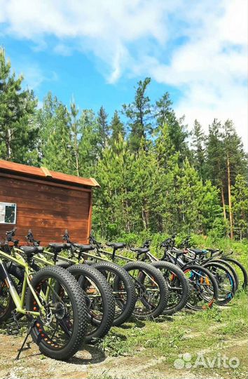 Прокат велосипедов