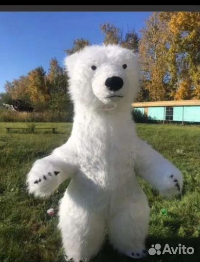 Надувной белый Медведь аэрокостюм