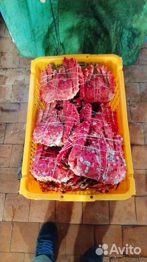 Краб камчатский подарочный