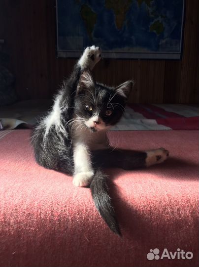 Умные и красивые девочки. п. Мезмай