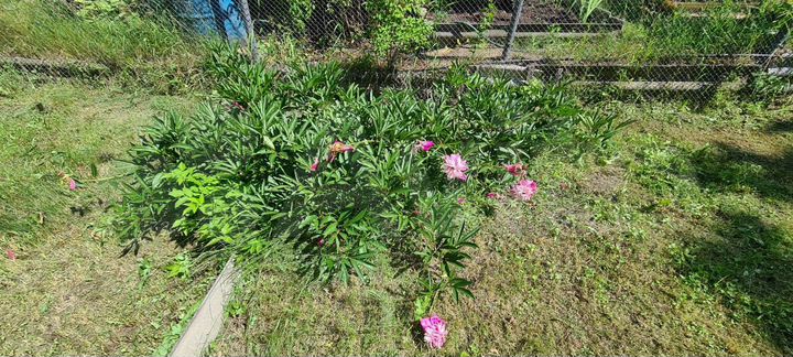 Дача 10 м² на участке 9,3 сот.