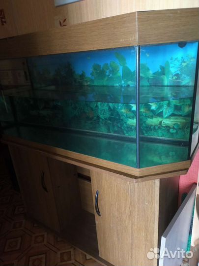 Аквариум
