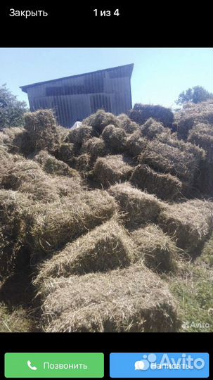 Сено в тюках