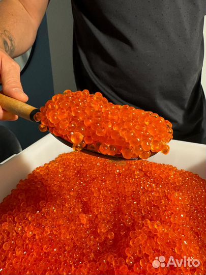 Икра форель. Оптом