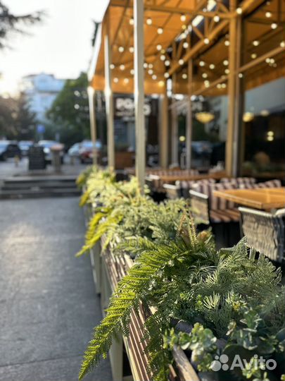 Искусственное озеленение кафе и ресторанов. Декор