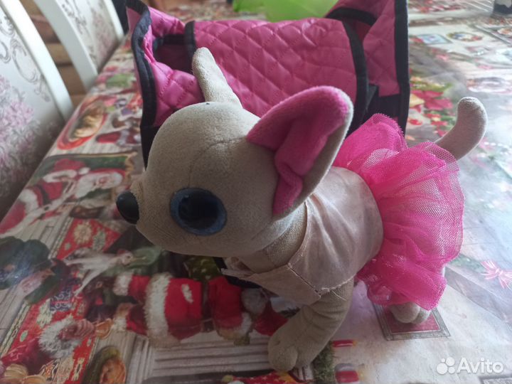 Собачка Чичилав