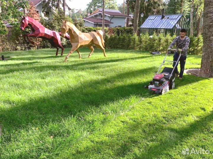 Рулонный газон