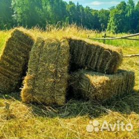 В сети распространили ФОТО огромной змеи, упакованной в сено якобы в Татарстане