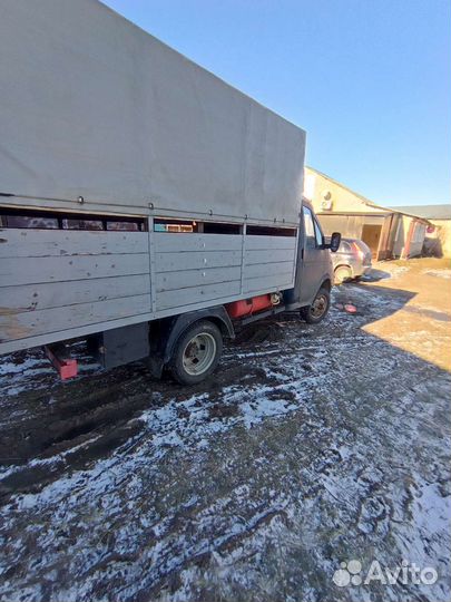 Перевозки скота газель для овец два яруса