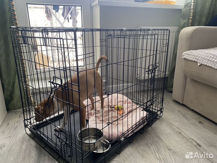 Клетка для собак 3