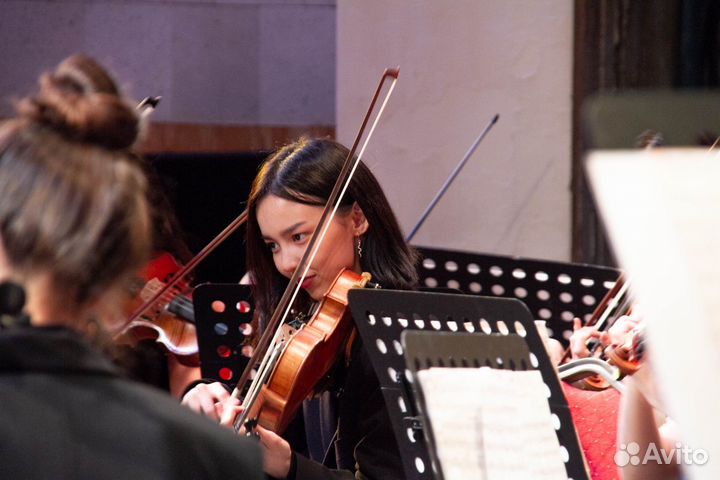 Репетитор по скрипке