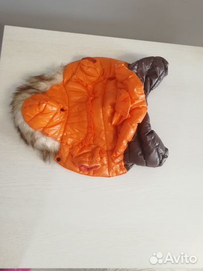 Комбинезоны для маленькой собаки