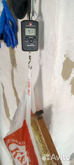 Сотовый мед