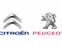 Диагностика Peugeot citroën пежо ситроен