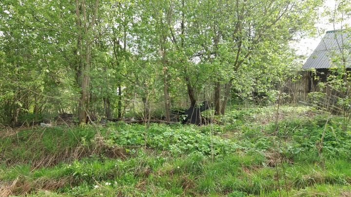 Участок 5 сот. (ИЖС)