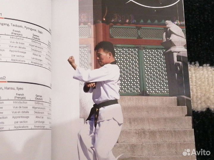 Эксклюзивное собрание техник тхэквондо