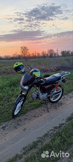 Alpha bandit sport