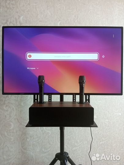 Аренда караоке/выездное караоке