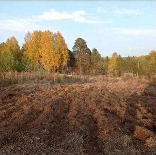 Участок 12 сот. (ИЖС)