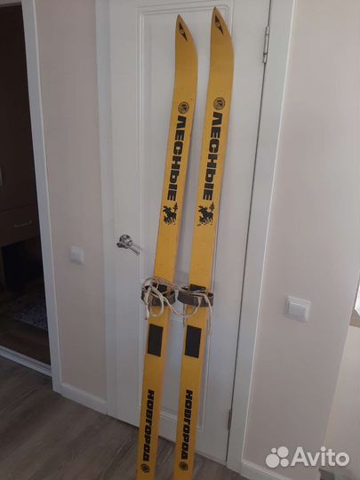 Лыжи лесные