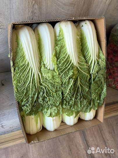 Капуста пекинка