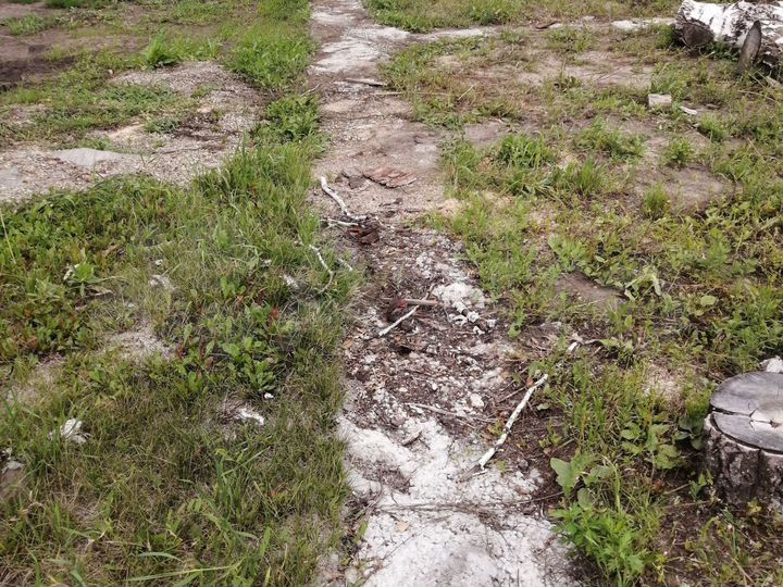 Дача 64 м² на участке 8 сот.