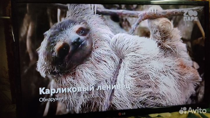 Телевизор LG 32 дюйма