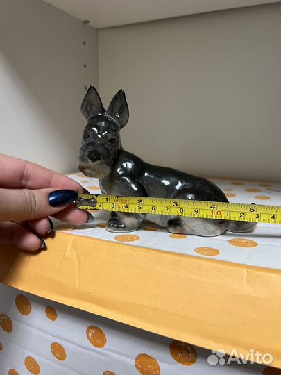 Скотчтерьер лфз 1960-е гг