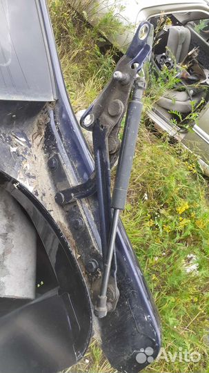 Амортизаторы багажника