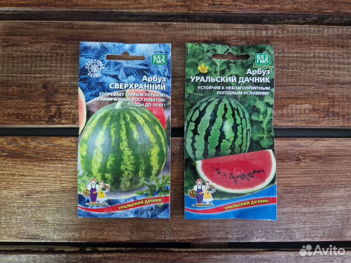 Семена Арбуза