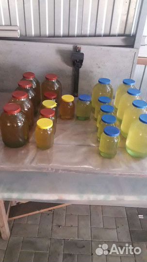 Белая Акация, Горная Липа и Майский свежий 2023г