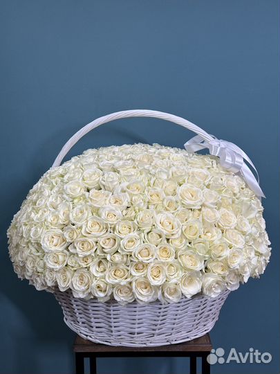 Розы 101 201 301 роза Цветы Букет