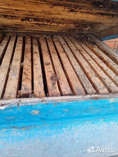 Улей для пчел бу