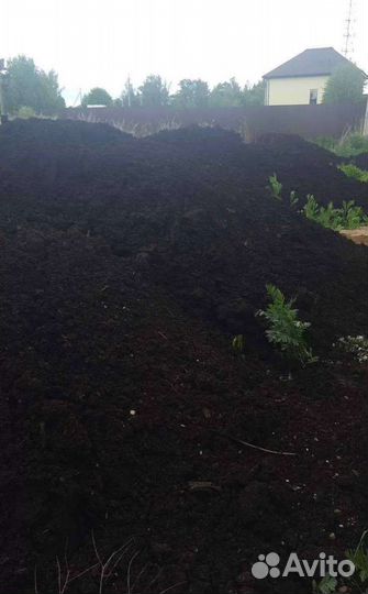 Торф низинный