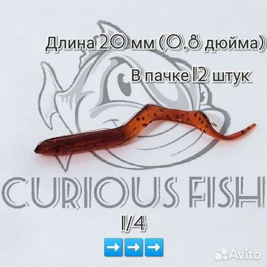 Curious Fish Угорь 0,8 дюйма (20мм)