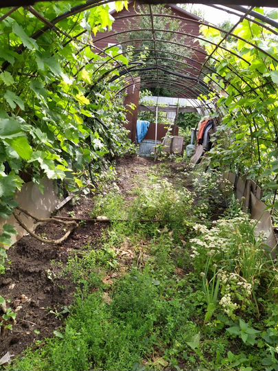 Дача 20 м² на участке 6 сот.