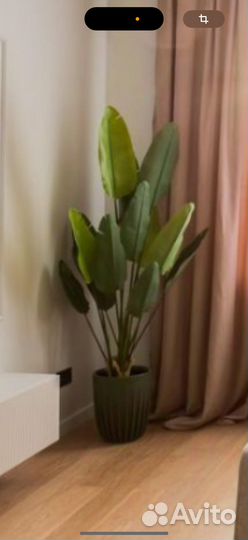 Банановая пальма искуственнная