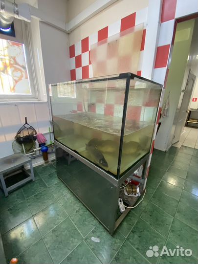 Холодильные витрины, морозильные лари