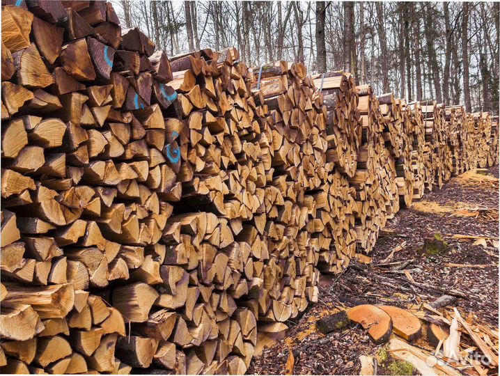 Дрова осиновые