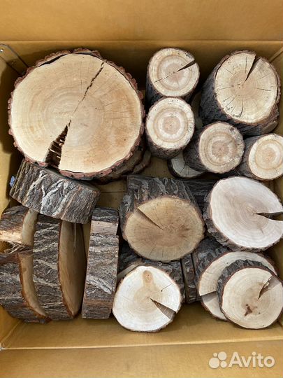 Спилы дерева для декора оформления свадьбы эко