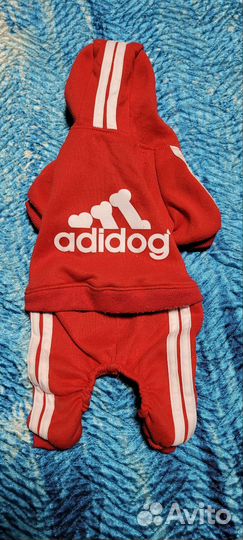 Комбинезон для маленькой собаки