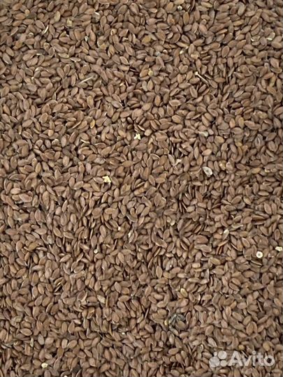 Семена льна