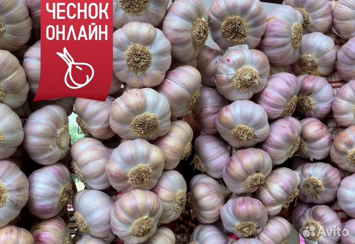 Чеснок с доставкой