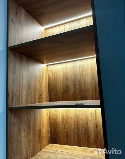 Шкаф распашной с рабочей зоной