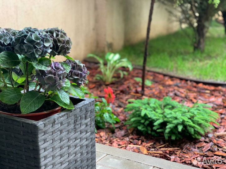 Кора лиственницы, сосны, грунты, террасная доска