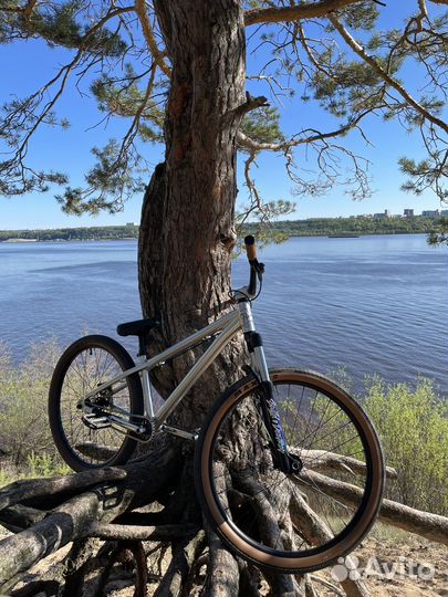 Mongoose fireball ss