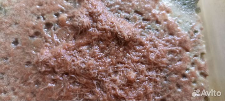 Корм для рыбок